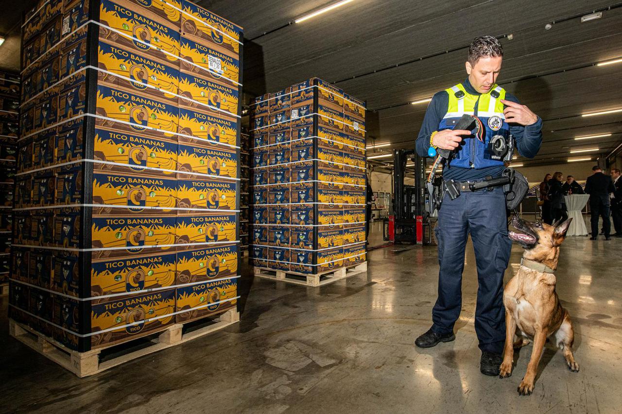 Rekordna zapljena kokaina u belgijskoj luci Antwerpen