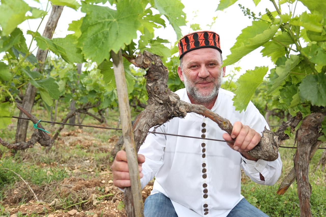 OPG MARKO DUVANČIĆ