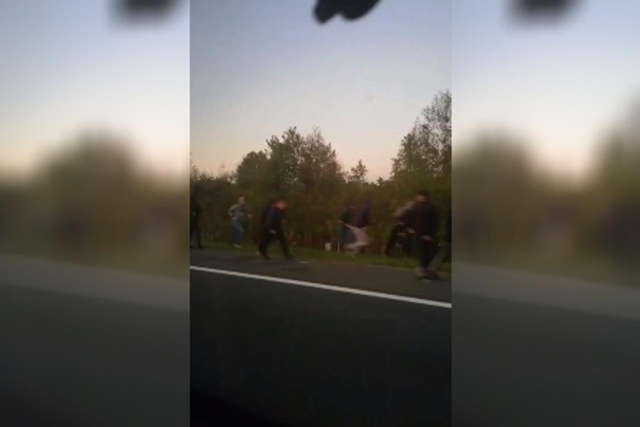 Szukob na autocesti A3