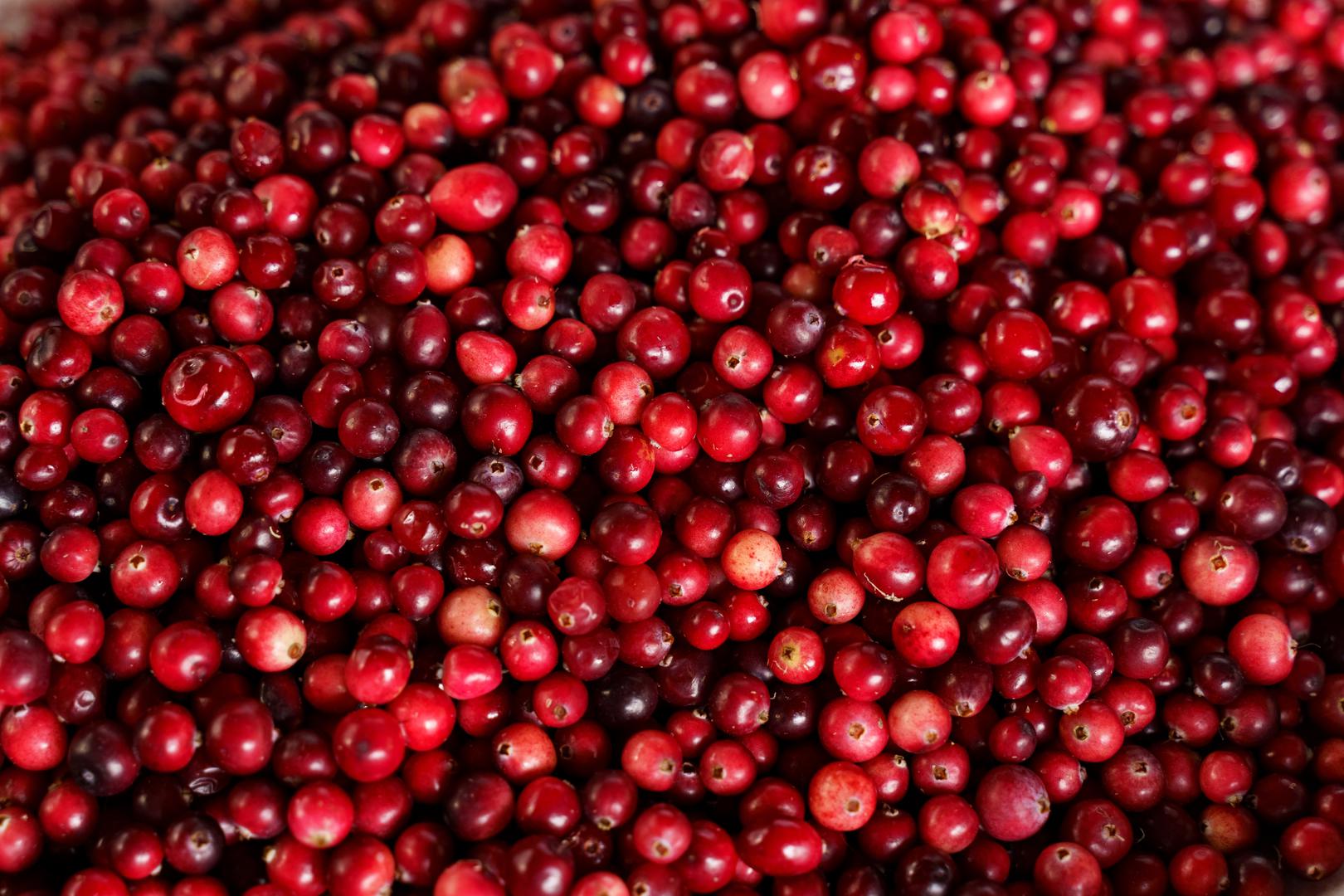 Bobičasto voće je dobro poznato po svom zaštitnom djelovanju kod rekurentnih infekcija mokraćnog sustava (UTI), uobičajene infekcije mokraćnog mjehura, bubrega i cijevi koje ih povezuju. Osim toga, ovo voće može ojačati naš imunološki sustav i pomoći nam da se na prirodni način zaštitimo od prehlade. "Brusnice su također dobar izvor vitamina C, mangana i raznih antioksidansa koji pomažu u podržavanju imunološke funkcije tijekom hladnijih mjeseci", dodao je nutricionist.