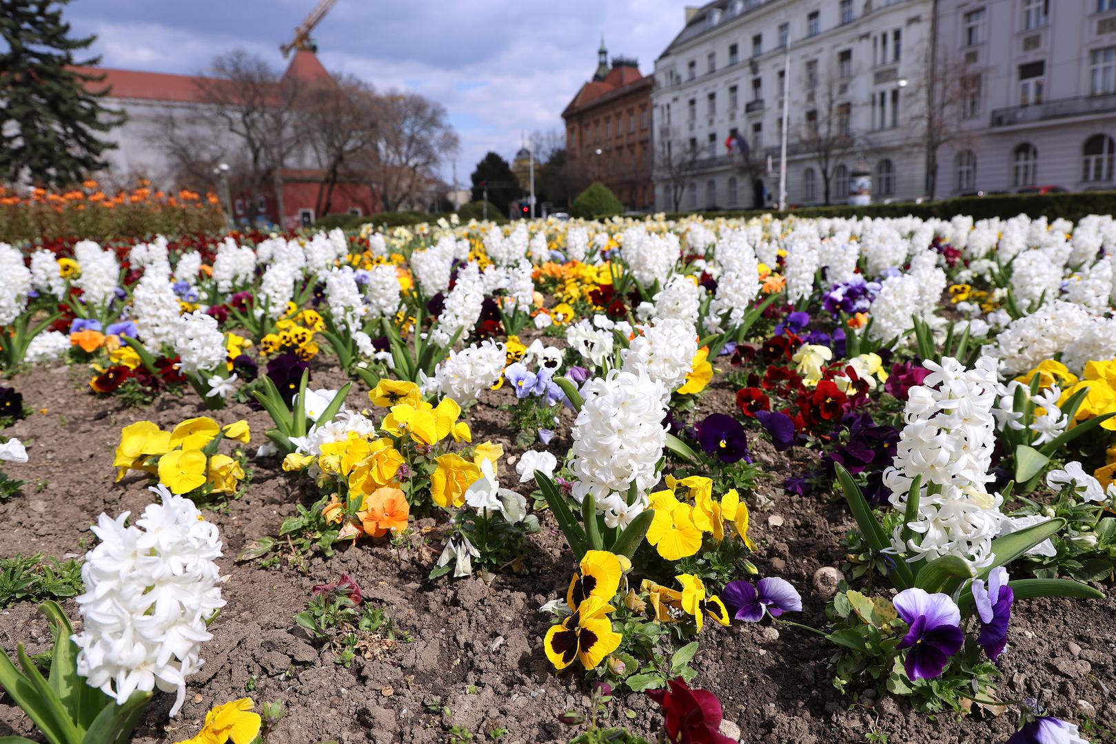 Iako vrijeme ne odaje taj dojam, danas je prvi dan proljeća