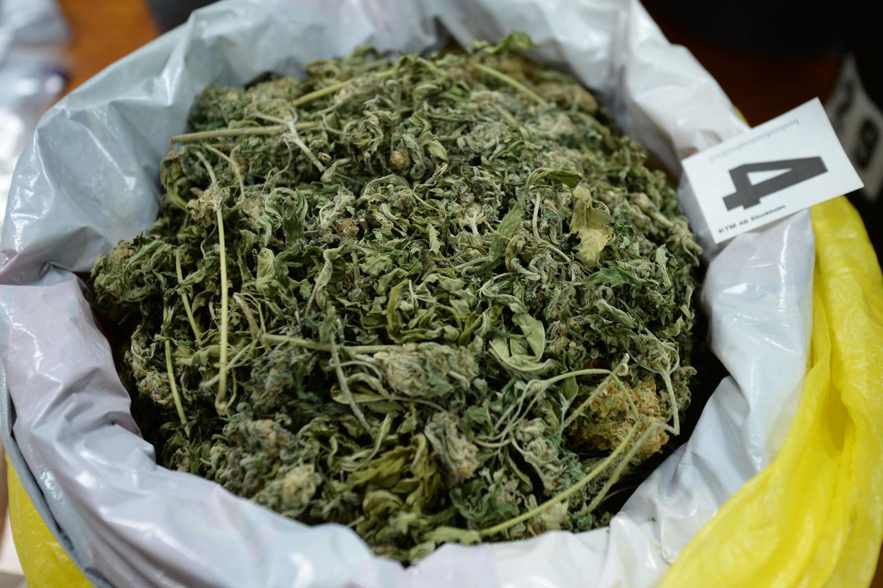 Razbijen lanac proizvo?a?a marihuane u Strahonincu i ?akovcu