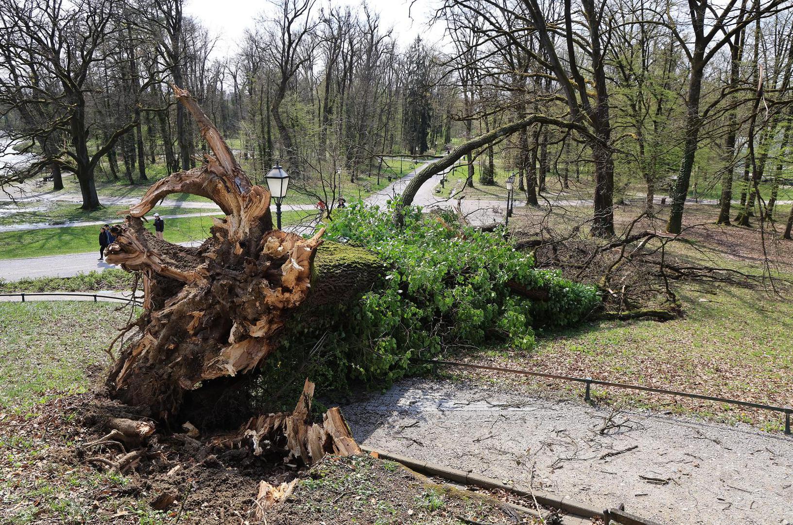 Snažno nevrijeme praćeno orkanskim udarima vjetra poharalo je Zagreb, ostavljajući za sobom veliku materijalnu štetu diljem grada.