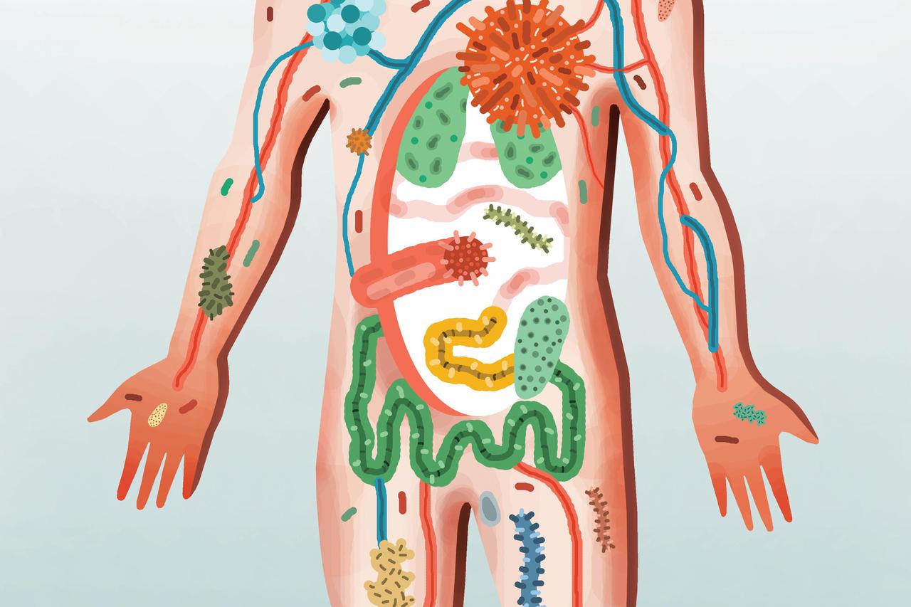 2068. - Pogled u budućnost