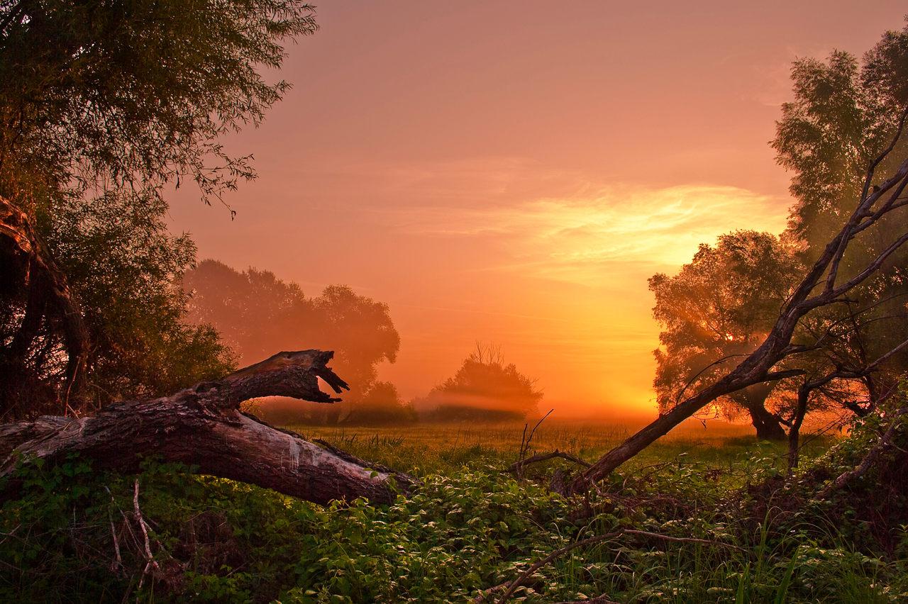Slavonija i Baranja