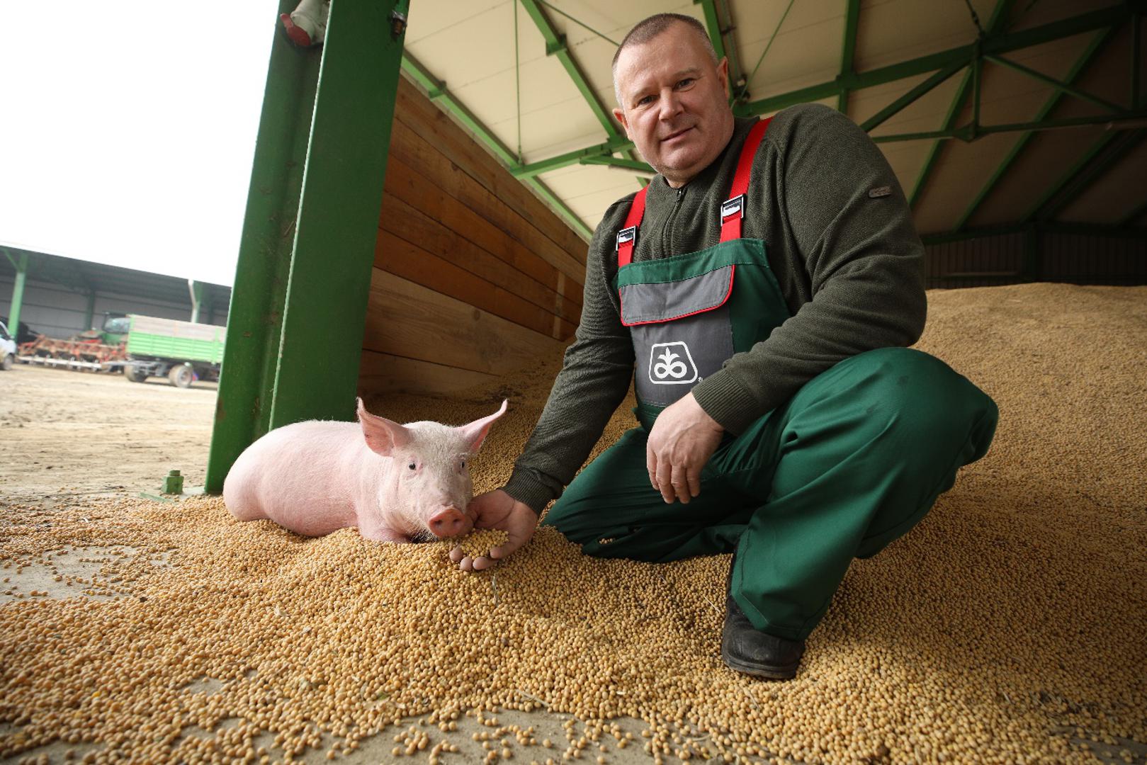 Miro Kolesarić u samom je vrhu svinjogojstva u Hrvatskoj