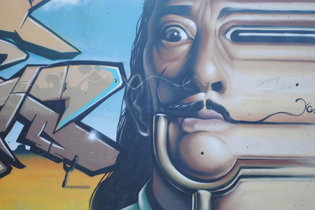 Salvador Dali/Grafit