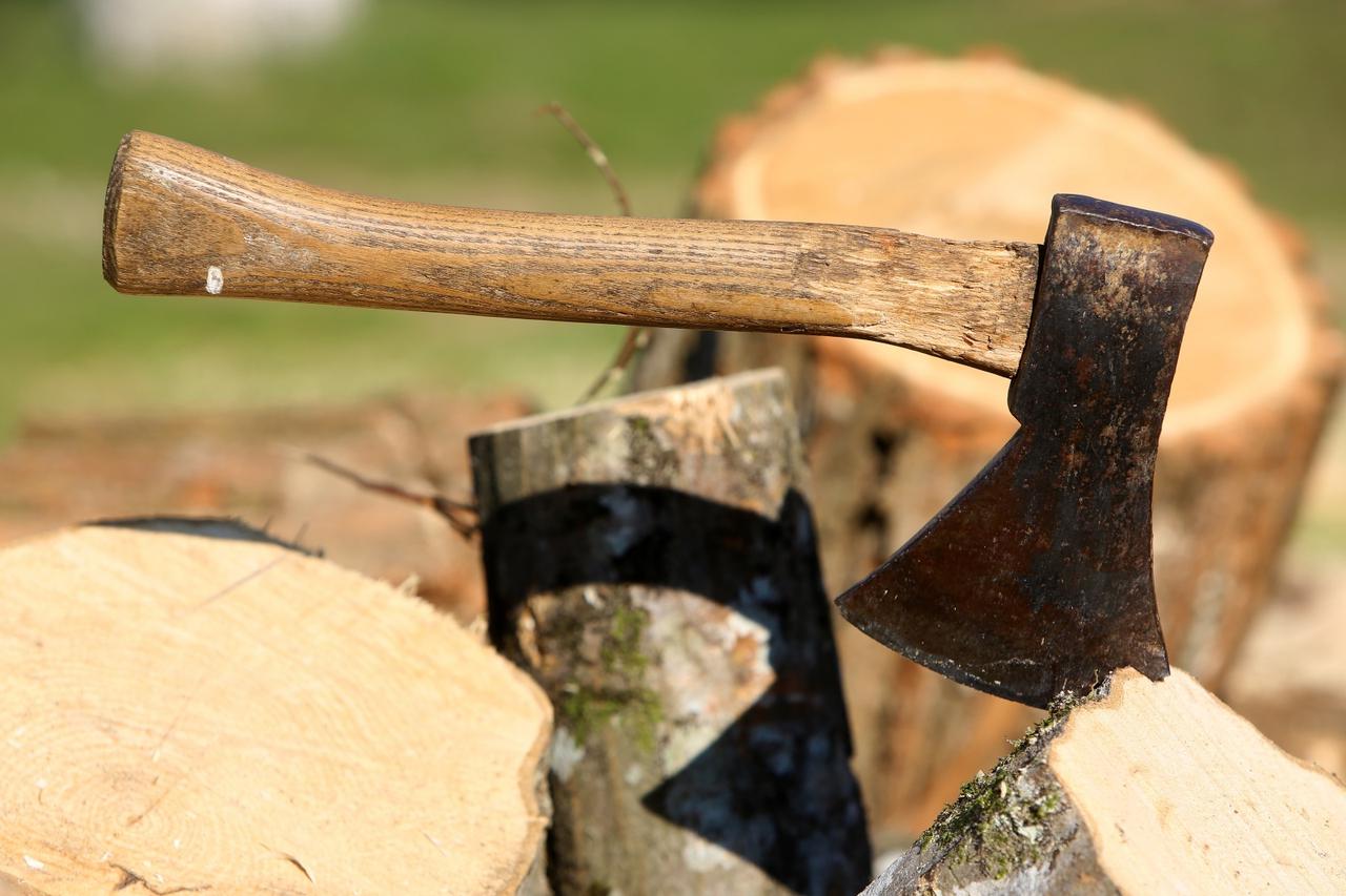 Sjekira na drvima
