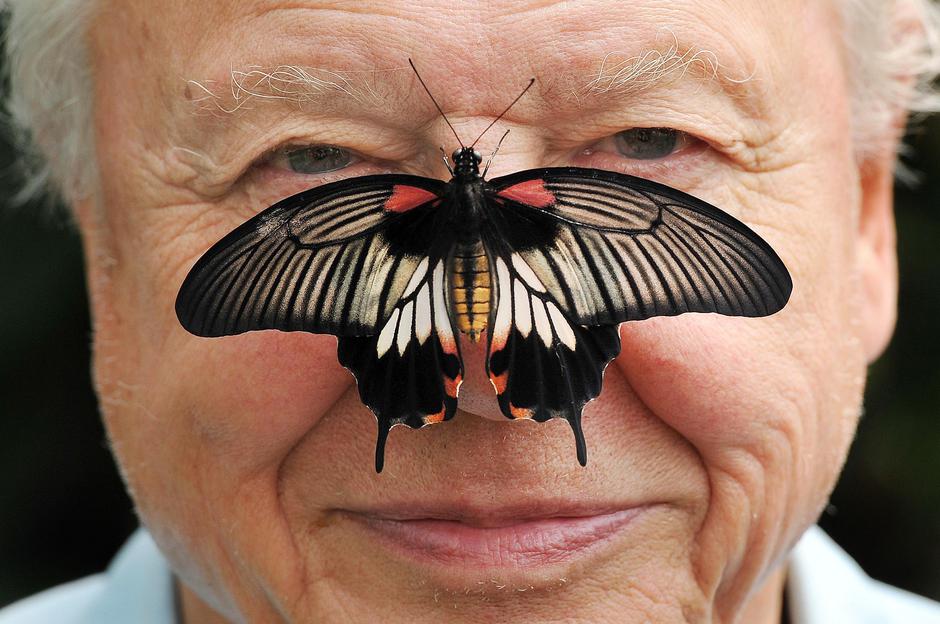 Sir David Attenborough 100th birthday