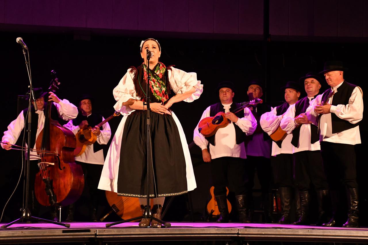 Slavonski Brod: Orkestar i soliisti ansambla Lado nastupili na Brodskom glazbenom ljetu