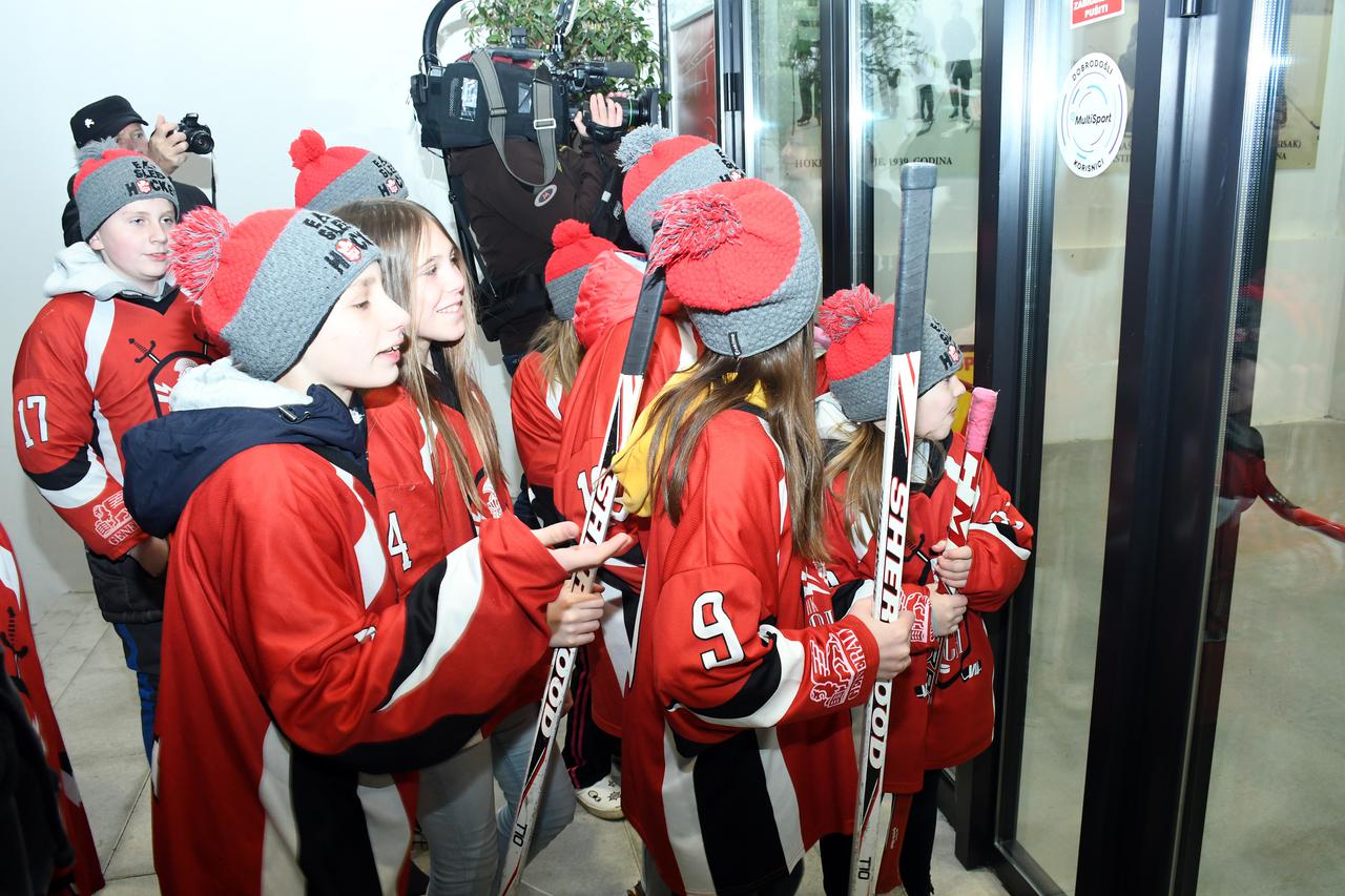 Prosvjed pred Ledenom dvoranom u Sisku