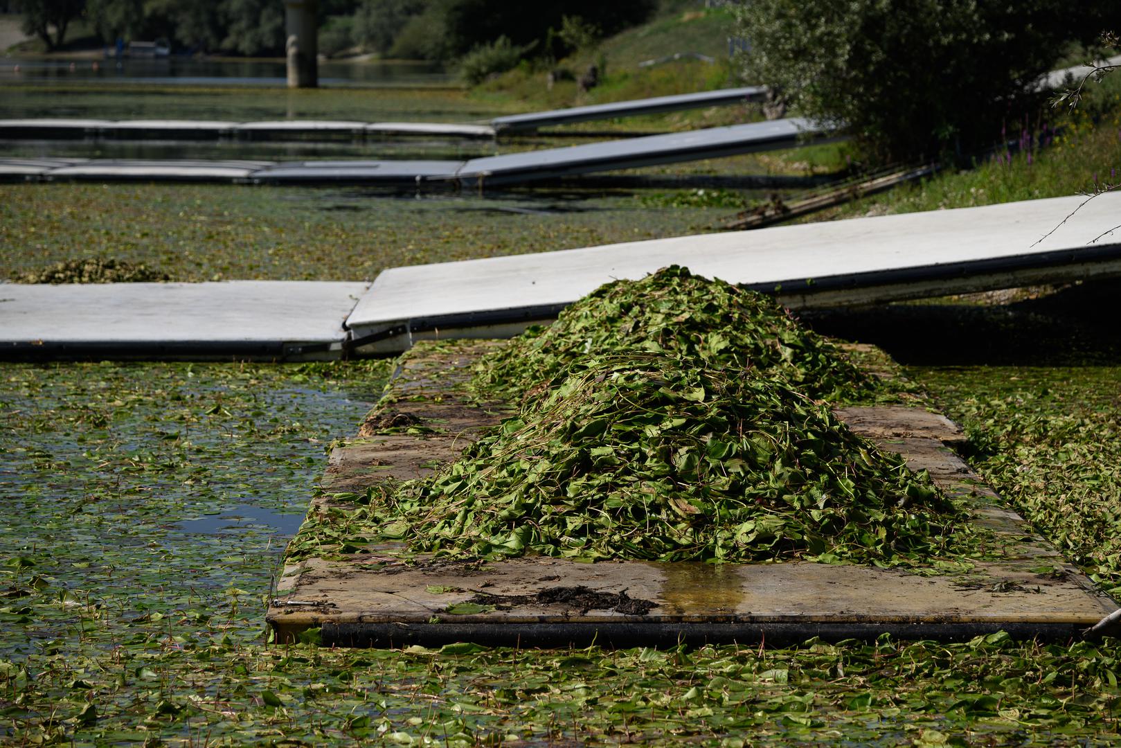 Jarunsko jezero ovih dana ima sve manje plivača.