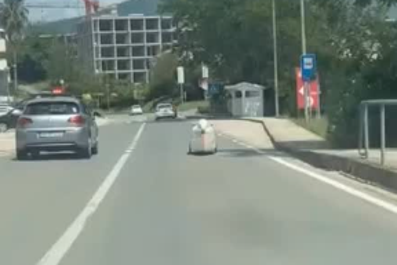 podgorički vremeplov