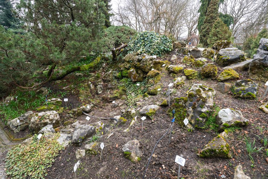 Zagreb: U Botaničkom vrtu nakon 130 godina za posjetitelje otvoren Alpinum