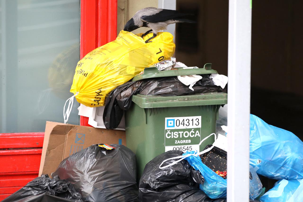 Zagreb: Smeće na ulicama veseli jedino vrane