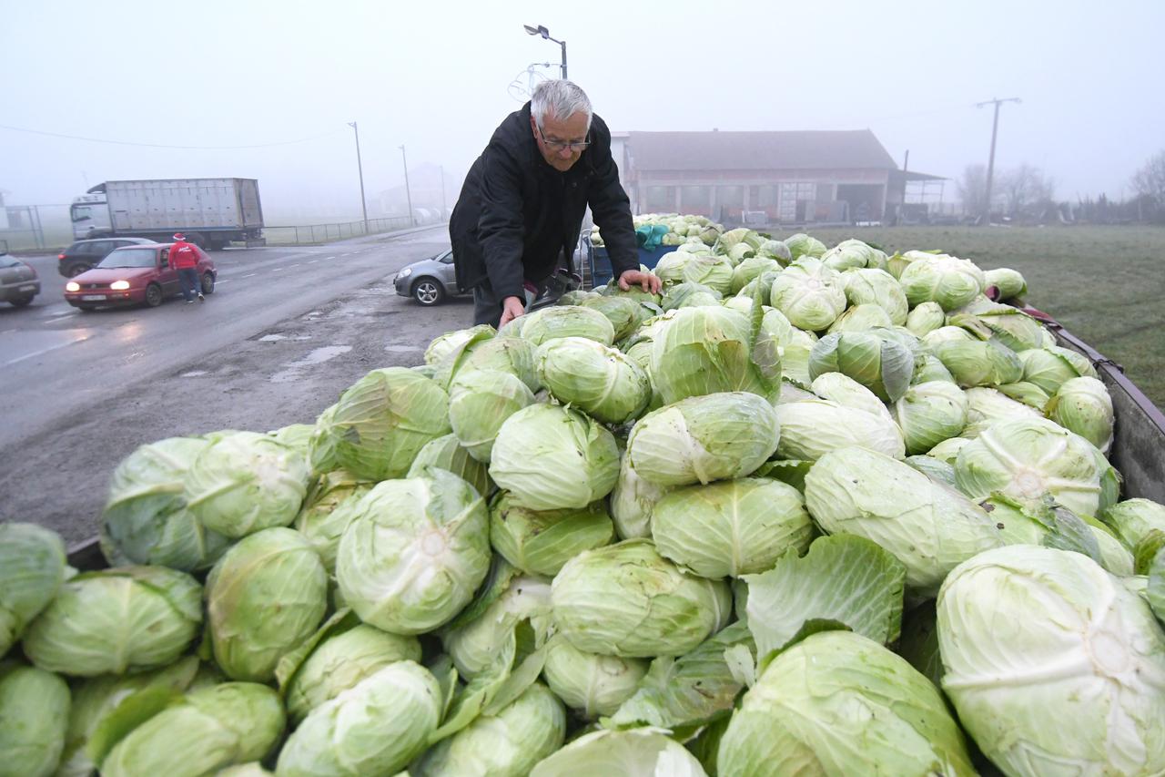 Razočarani i ogorčeni ratar Božidar Mušić ljudima podijelio 10 tona zelja