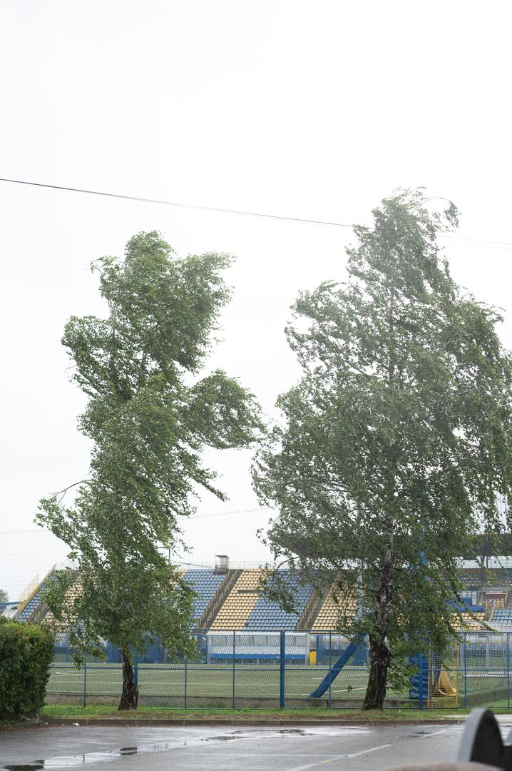 01.07.2024., Zapresic - Oluja je prosla kroz Zapresic ostavljajuci tucu, otpale grane i lisce na cesti. Photo: Marko Juric/PIXSELL