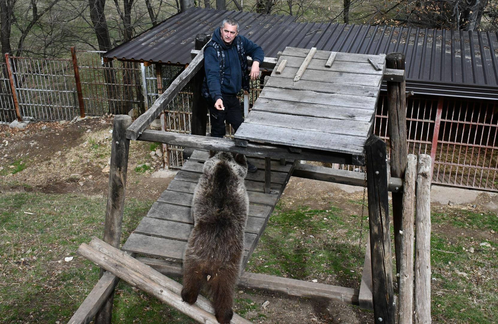"Maša voli ljude, ali prema nepoznatima je u početku malo nepovjerljiva, drži distancu, ali kada oni pridobiju njenu naklonost, onda ih ne pušta na miru, želi da je maze. A Ljubica je odmah u početku dobra sa svima koji joj priđu. Zna ona da će dobiti nešto od njih, a bombone su joj glavna poslastica. Voli ona i voće, a obje preferiraju sezonsko voće, ali i lisnato tijesto s višnjama i jabukama. Mahom jedu biljnu hranu, ali ipak kao i sve ženke ne mogu odoljeti slatkišima", tvrdi Petar.