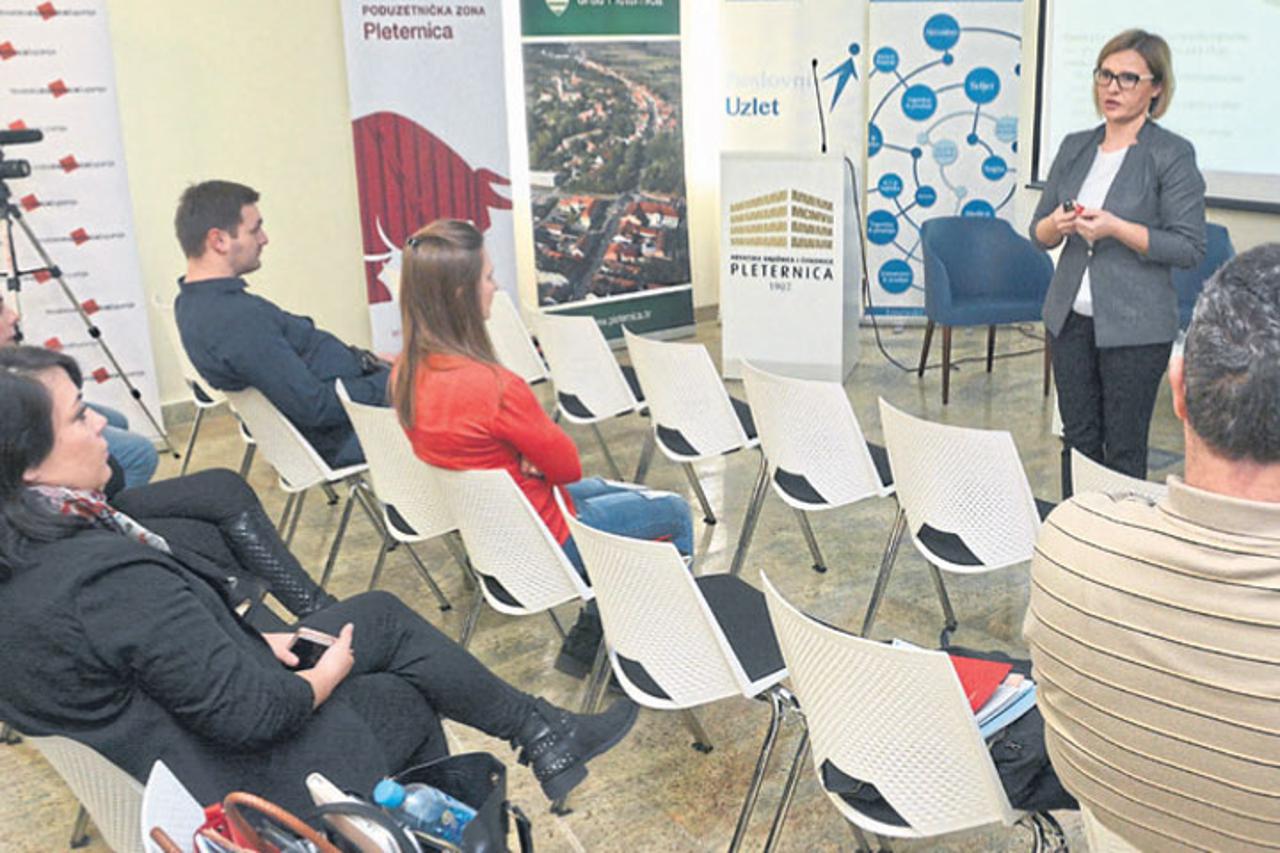 Poslovni uzlet Pleternica