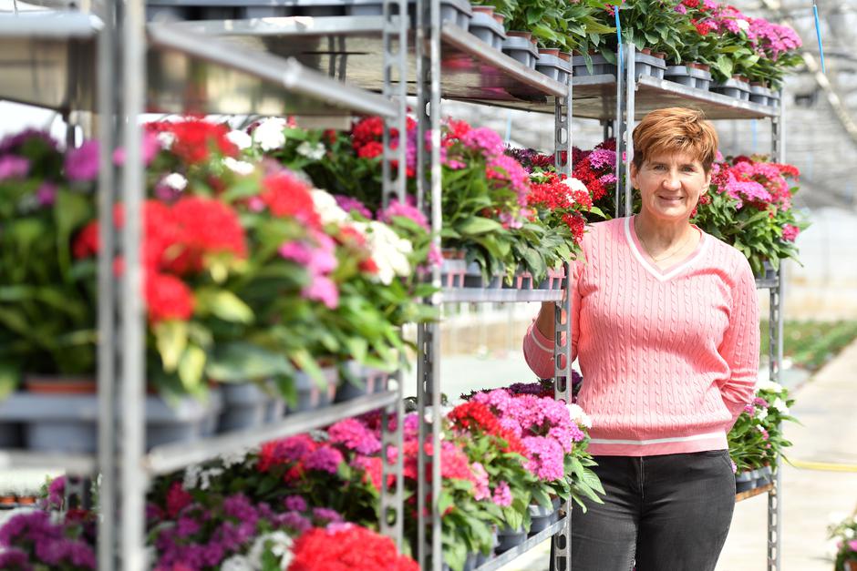 Doljan: Cvjećarski obrt Cepanec