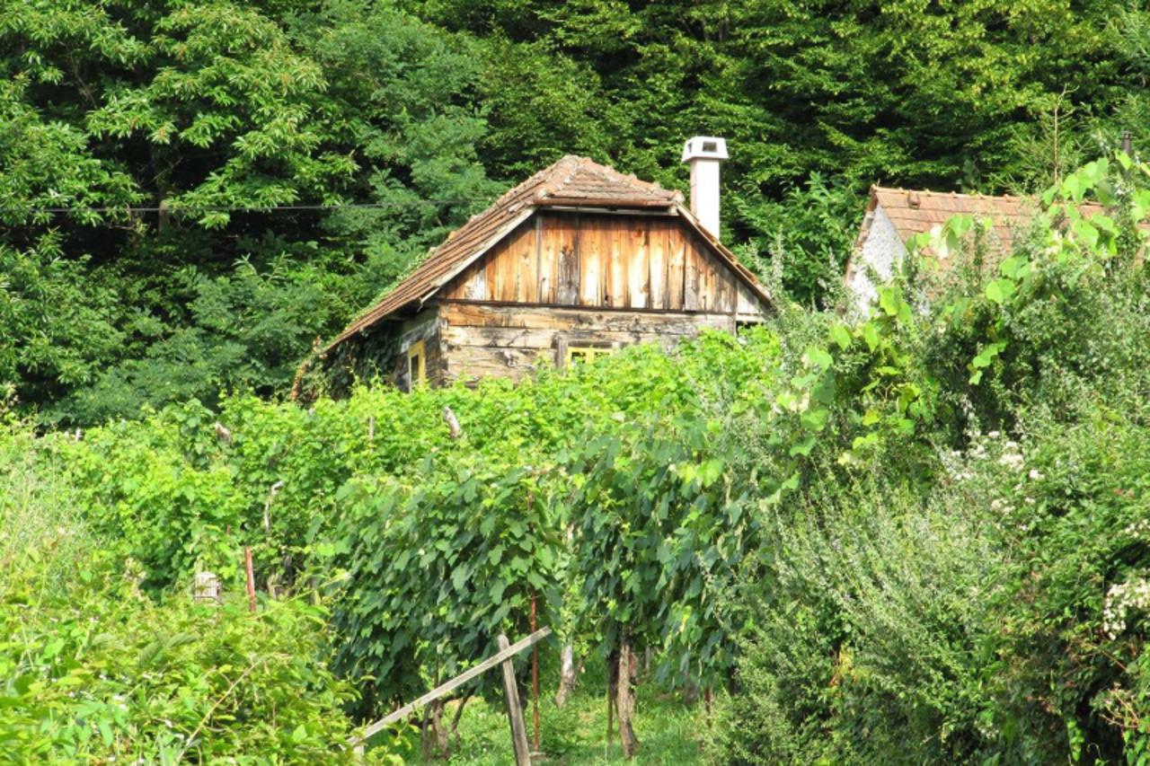 'Var \\u0096 03. 11. 2010., Ivanec \\u0096 Vodic Rent-a-kliet nudi odgovore na pitanja kako klijeti i vikendice aktivirati za turisticke i gospodarske svrhe  PHOTO:  Ljiljana Risek'