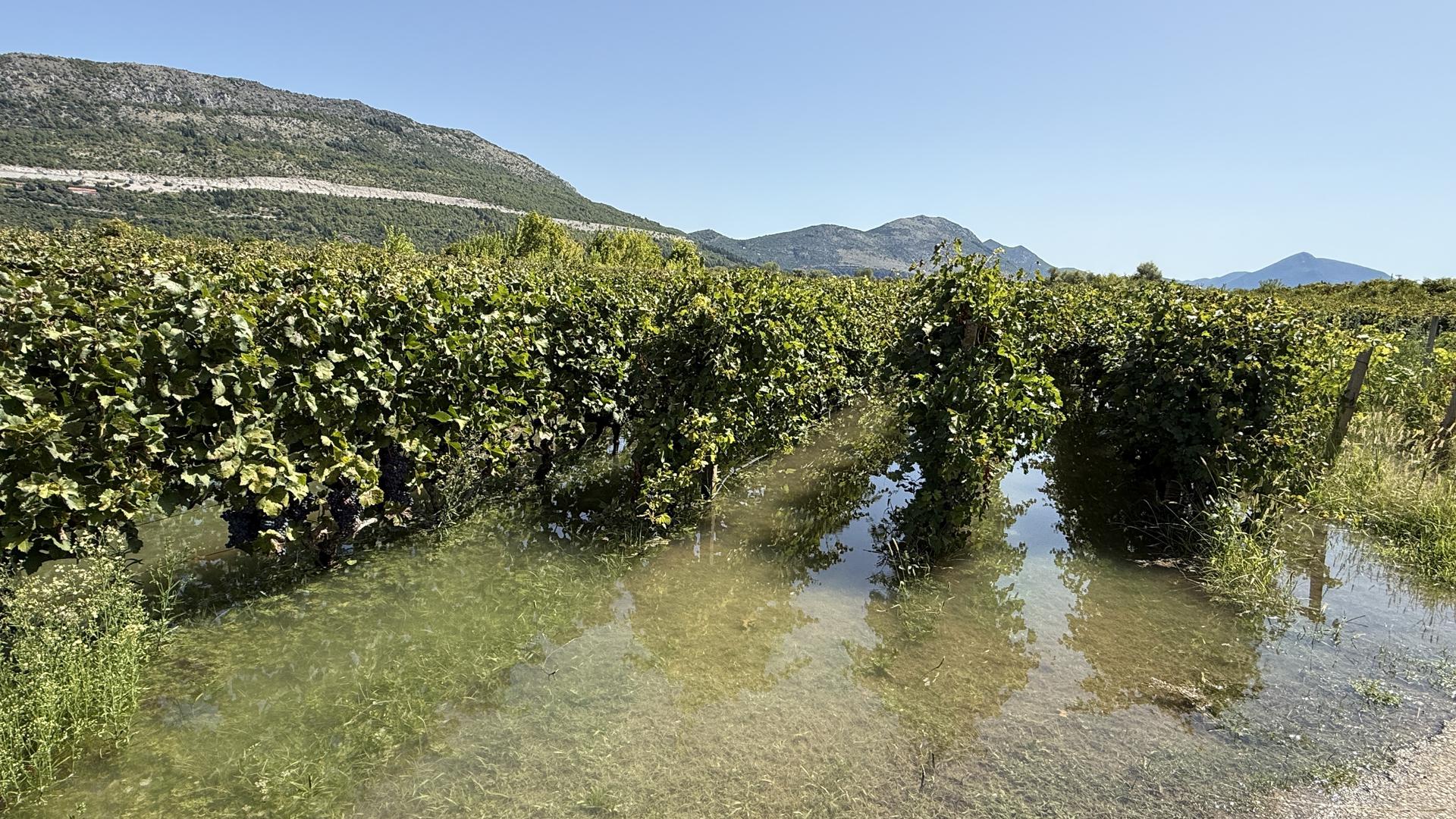 Dok se mještani pripremaju za moguće nove obilne oborine, štete od nedavnog potopa tek će se početi zbrajati. Ceste između sela još uvijek su poplavljene, otežavajući promet i pristup poljoprivrednim površinama.

