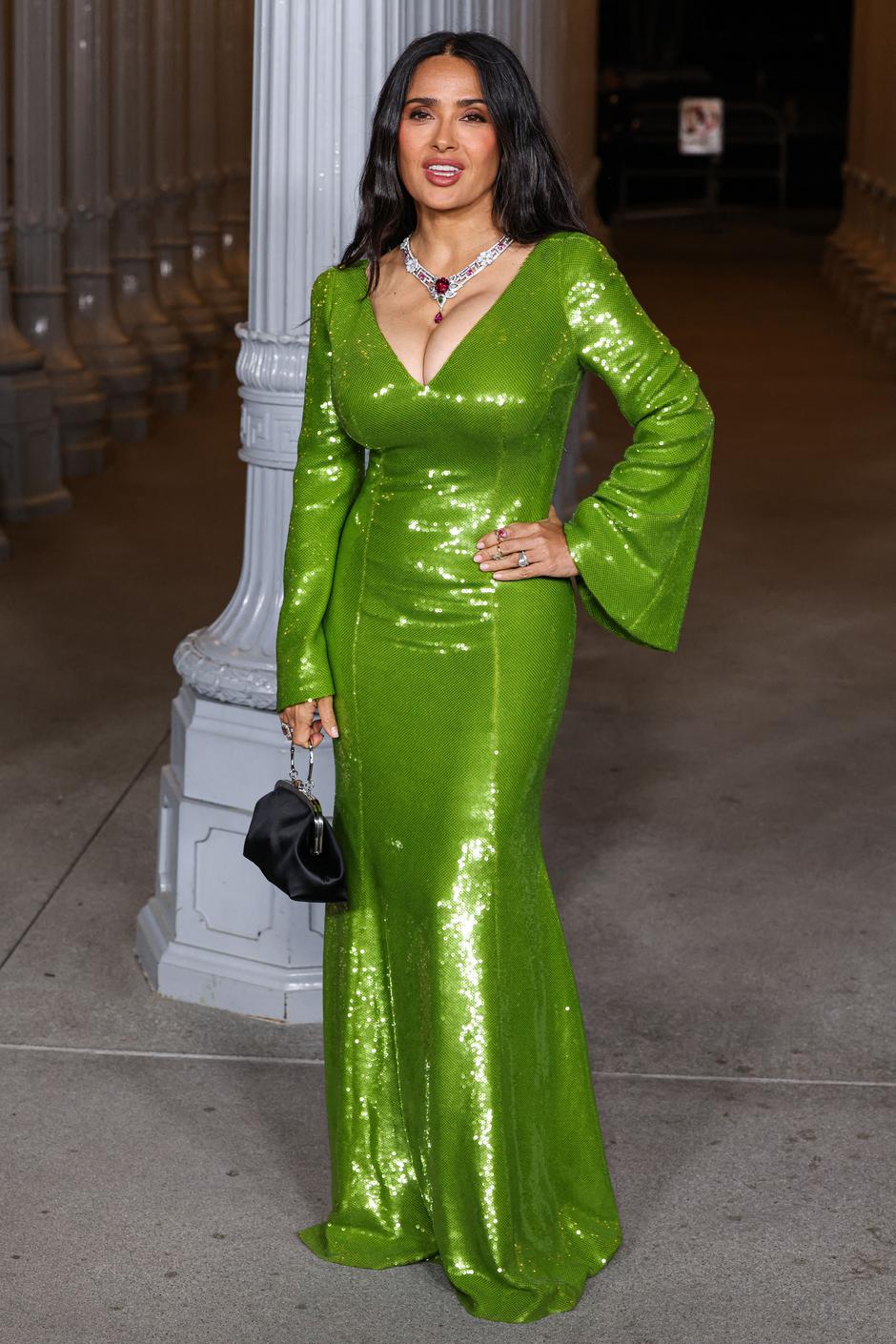 14th Annual LACMA Art Film Gala 2025 - LA