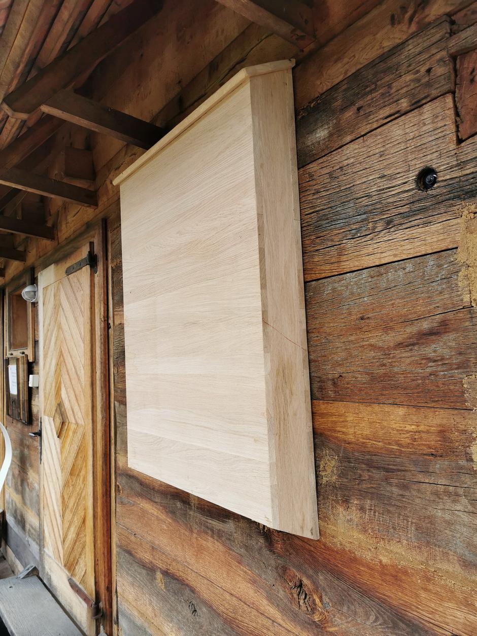 Šišmiši u Lonjskom polju