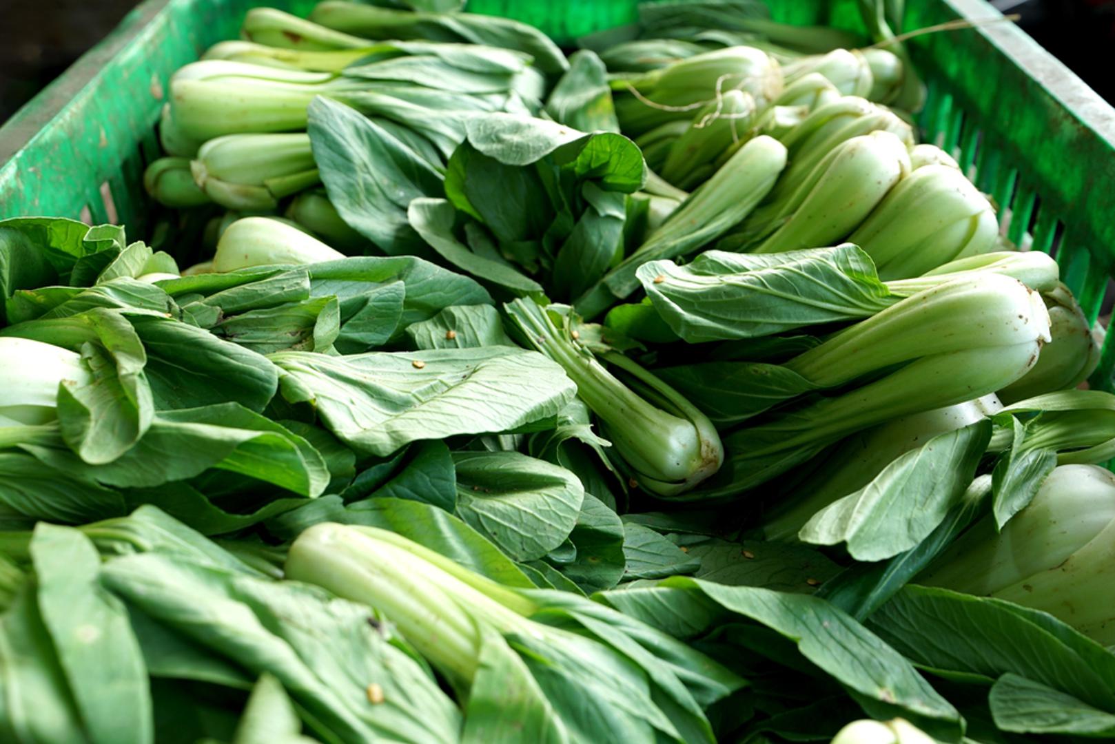 Pak choi: Pak choi, odnosno azijski kupus, sve je popularniji i u domaćim vrtovima jer je riječ o brzom proljetnom povrću koje najbolje uspijeva u blažem vremenu. Dobro ga je sijati u manjim turama, a posebno je praktičan za mlade listove koji brzo stižu za berbu i odlično se uklapaju u salate ili kratko pirjana jela. Osim što je ukusan i lagan, sadrži niz korisnih hranjivih tvari, među njima vitamin C, vitamin K i kalcij. 