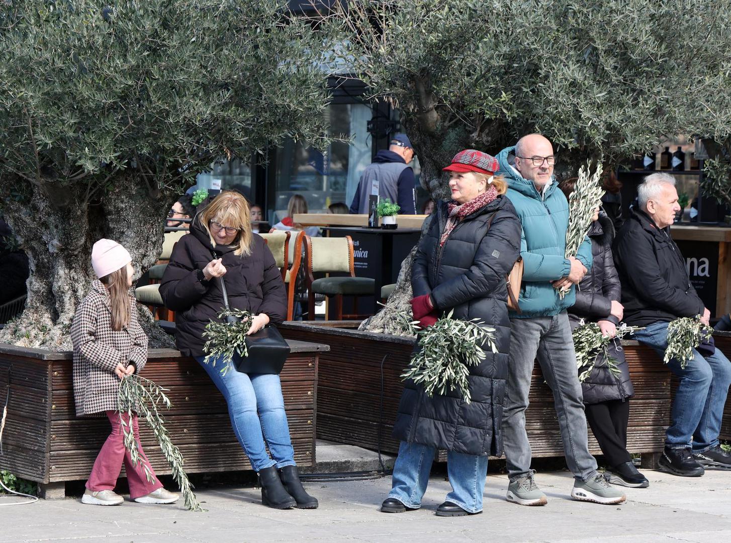 U hrvatskom folkloru, Cvjetnica je dan obilježen uporabom raznovrsnoga proljetnog bilja: grančica drijenka, vrbe, lijeske, ljubica i bršljana u kontinentalnoj Hrvatskoj te maslinovih, palminih i lovorovih grana u primorskoj Hrvatskoj. Stari pučki običaji i vjerovanja nalažu da se grančica čuva cijele godine jer se vjeruje da štiti kuću od raznih nedaća, bolesti i uroka.