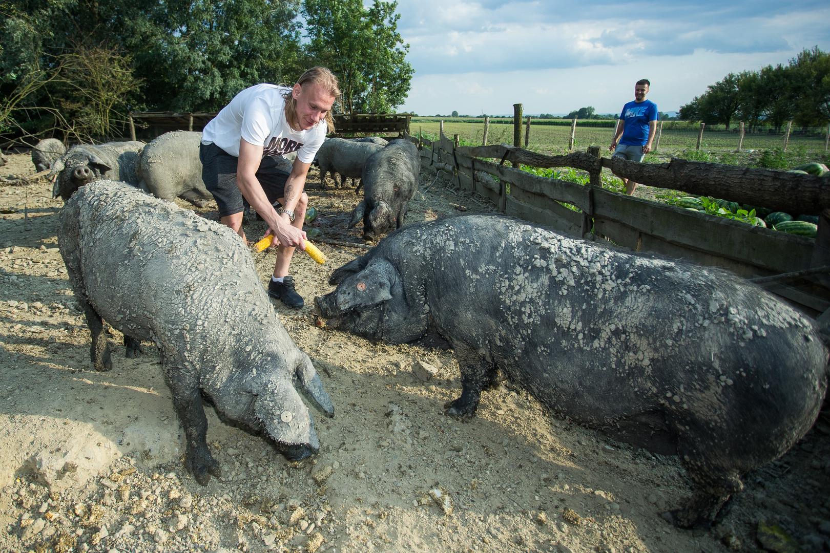 Na farmi je nahranio
svinje nakon povratka iz Rusije: Nadam se da će za koju godinu iz toga nastati dobra priča