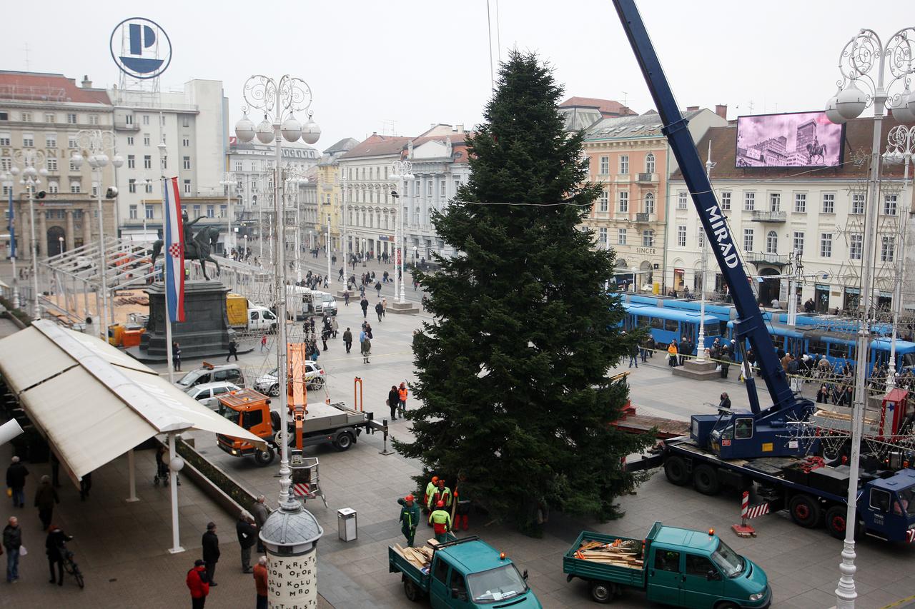 28.11.2014., Zagreb - Na glavni gradski trg stiglo je bozicno drvce. Jela stara 44 godine, visoka 17 metara i promjera 6 metara, dar je obitelji Kresic iz Dubrave gradu Zagrebu. Photo: Borna Filic/PIXSELL