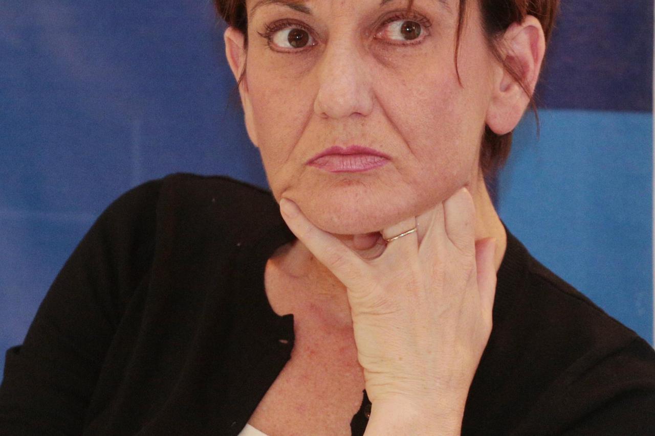 07.05.2014., Zagreb - Konferencija 