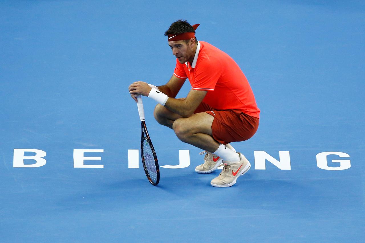 Juan Martin del Potro