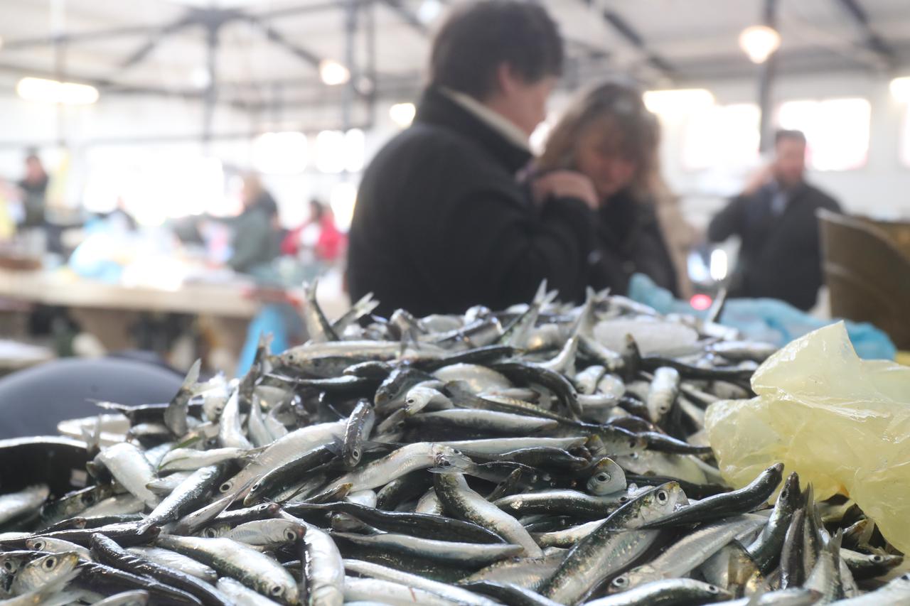 Split: Ponuda u ribarnici je bogata i raznovrsna