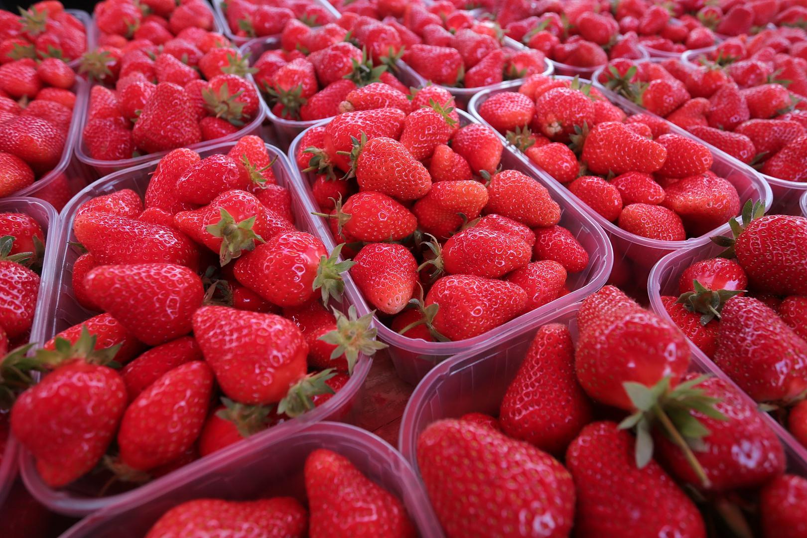 Jagode – bogate su vitaminom C koji koji se suprotstavlja negativnim učincima izlaganja suncu, jača kapilare koje opskrbljuju kožu, pomaže kod prikrivanja raznih mrlja na koži i kontrolira štetu u tijelu nastalu djelovanjem slobodnih radikala. Jagode sadrže i vitamin E koji također štiti kožu od oštećenja stanica. 