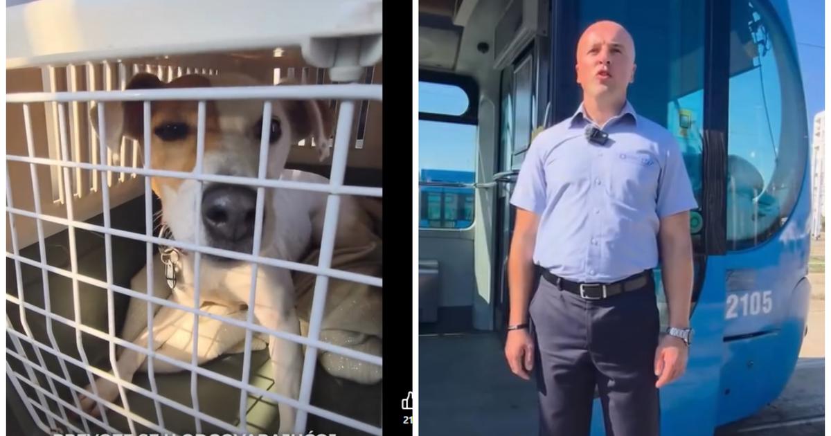 VIDEO Znate li kako pravilno prevoziti kućne ljubimce u tramvajima i autobusima? ZET objavio važna pravila