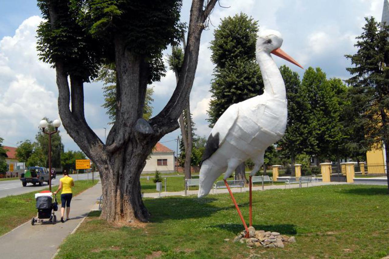 roda (1)