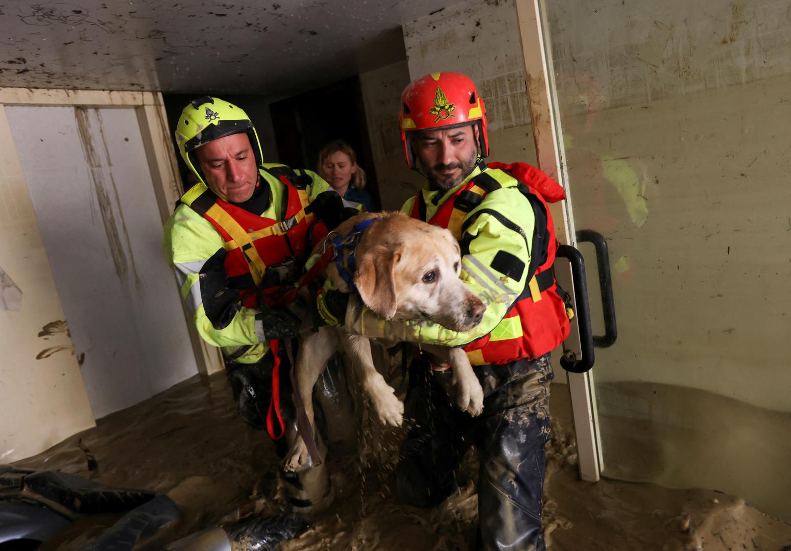 Firefighters evacuate a dog from a flooded house, after heavy rains hit Italy's Emilia Romagna region, in Faenza, Italy, May 18, 2023. REUTERS/Claudia Greco Photo: CLAUDIA GRECO/REUTERS