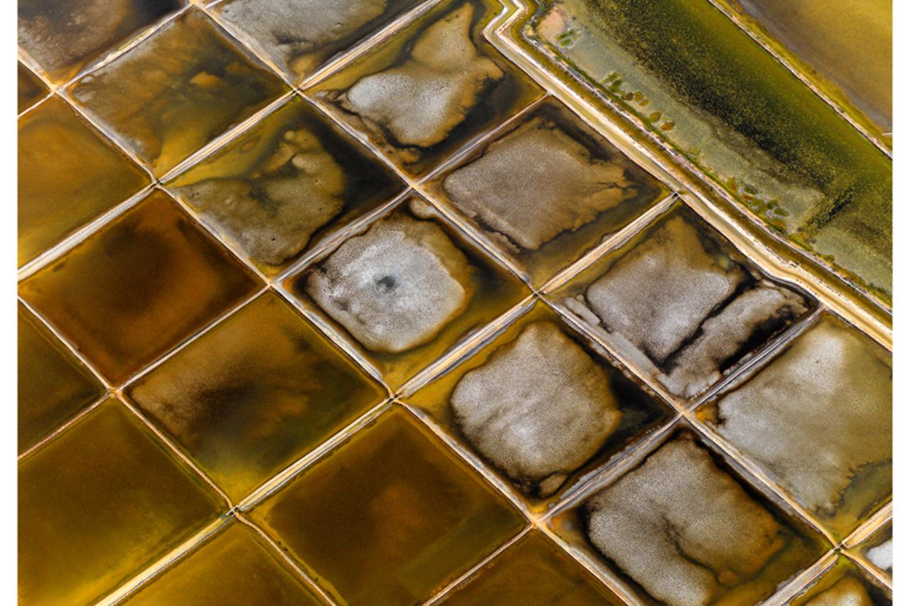 Saša Poldan, izložba fotografija