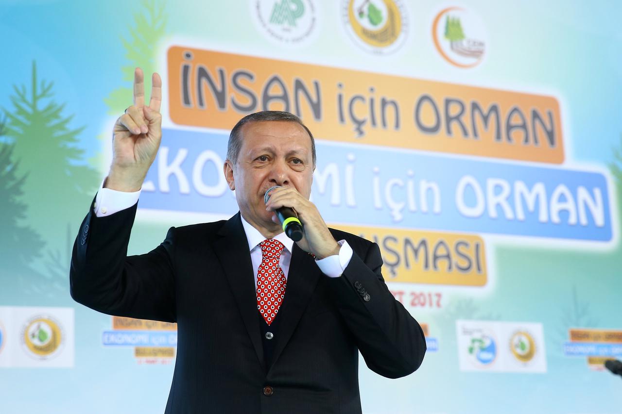 Erdogan 