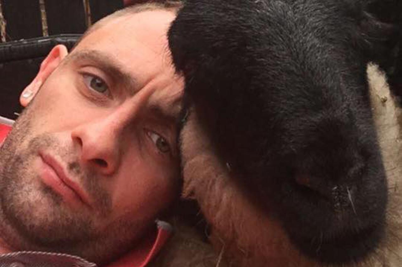 Andrew Dunleavy, ovca