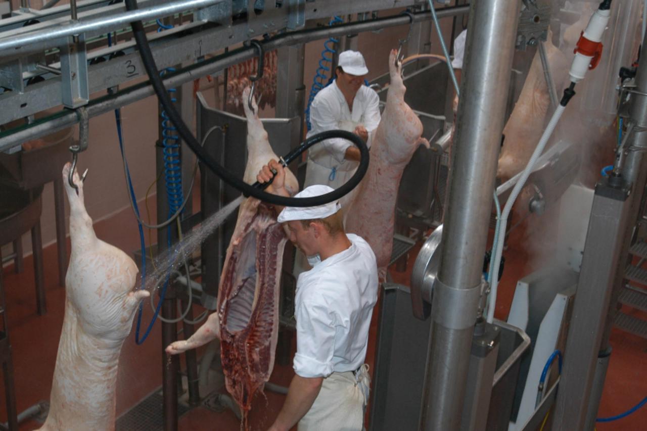 'slavonija................27.10.2004...................OSIJEK - SDP o PPK-u Valpovo - Valvita-mesna industrija PPK Valpovo-meso-klaonica snimio Jozo Petric'