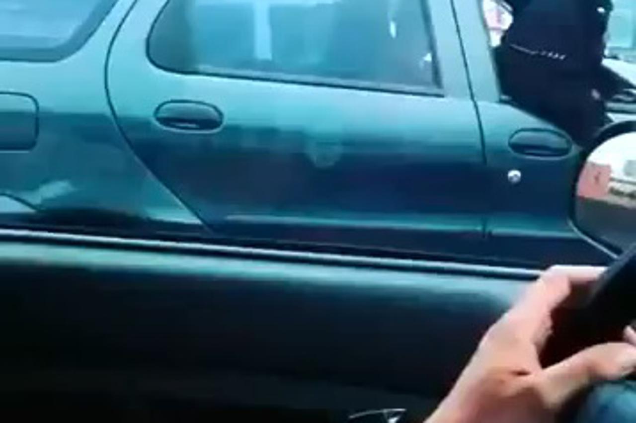 Pas na suvozačkom mjestu 