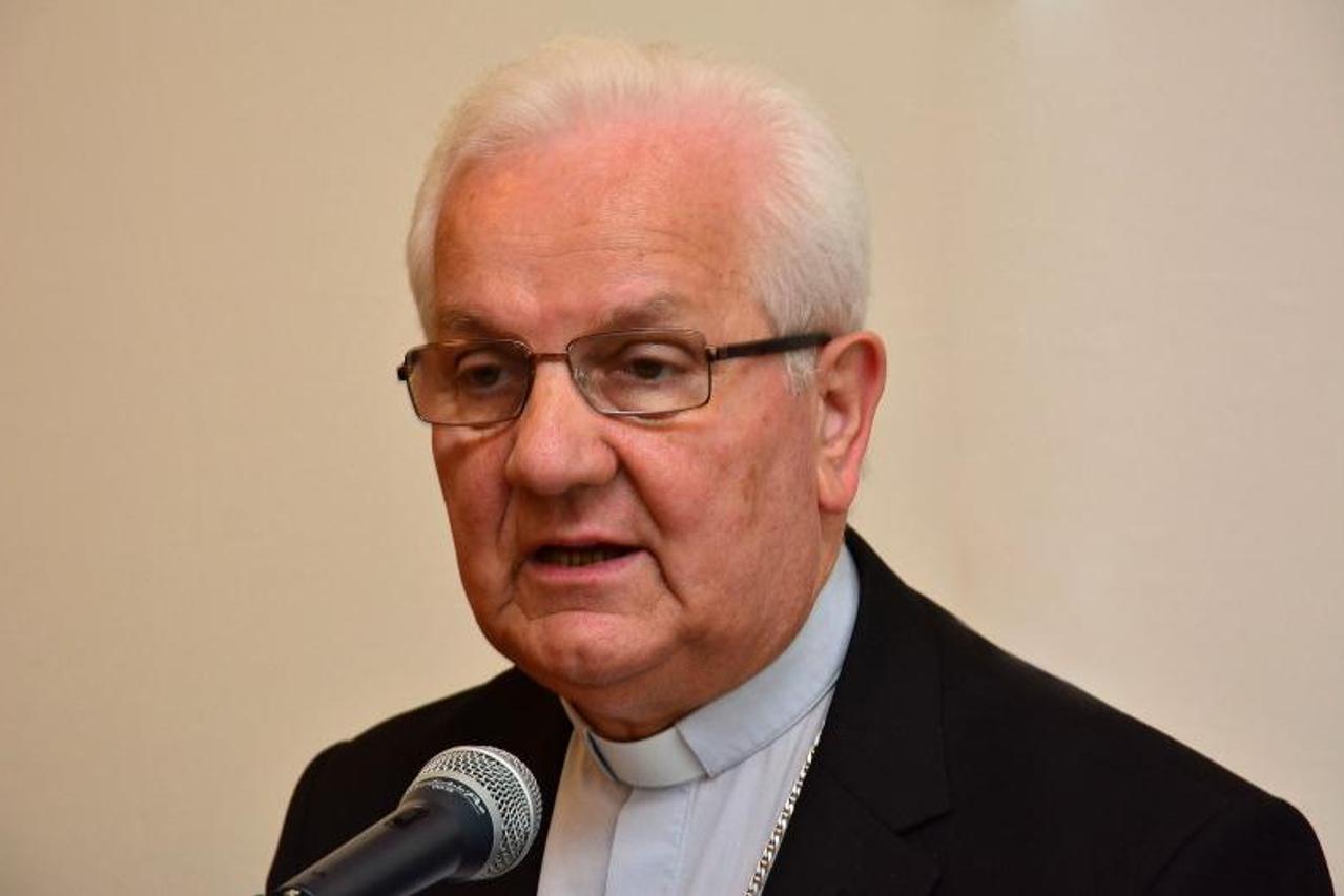 franjo komarica