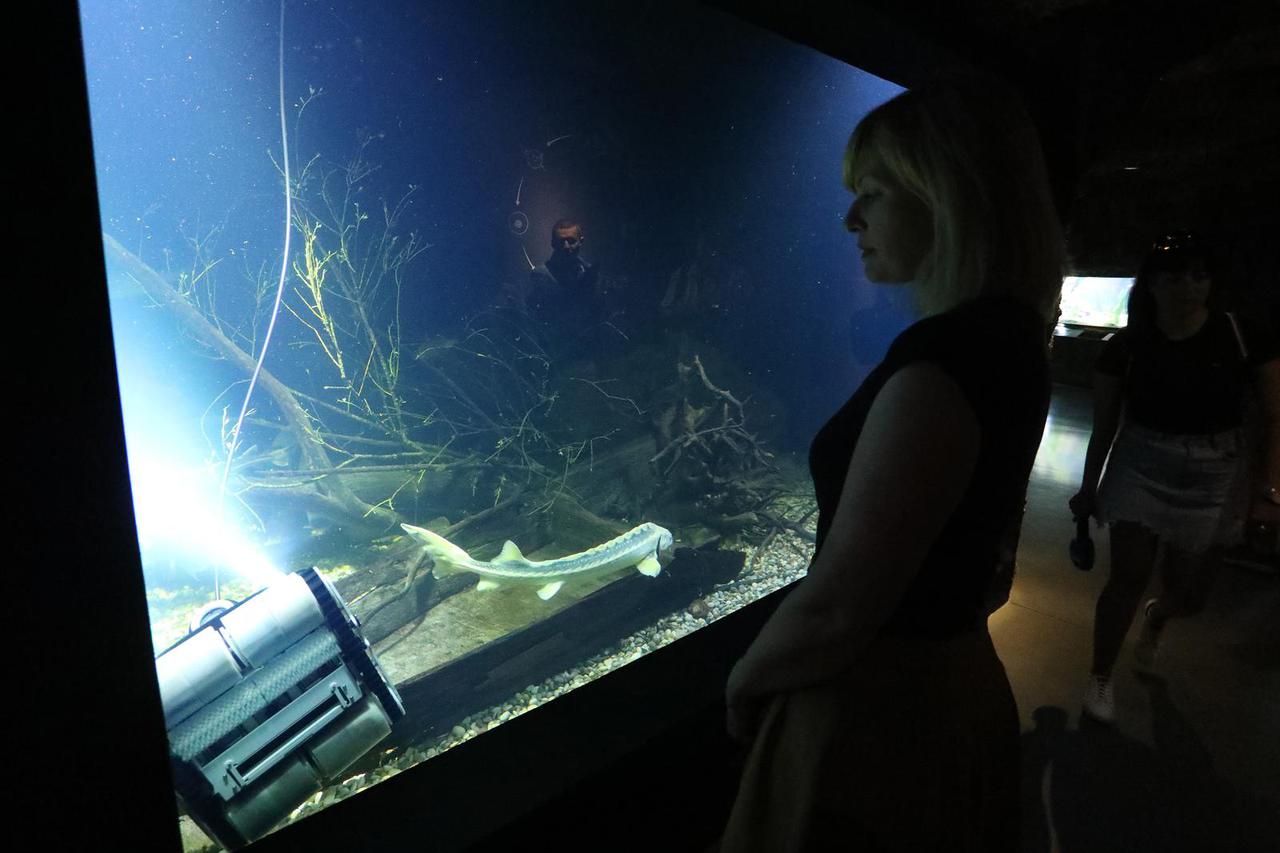 Karlovac: Aquatika nabavila novi robot zadužen za čišćenje velikog akvarija