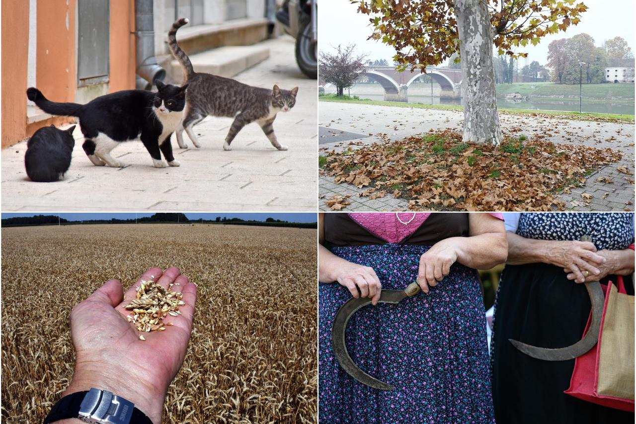 Nazivi mjeseci u godini