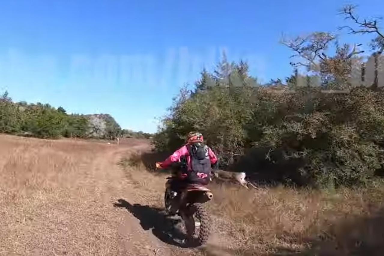utrka