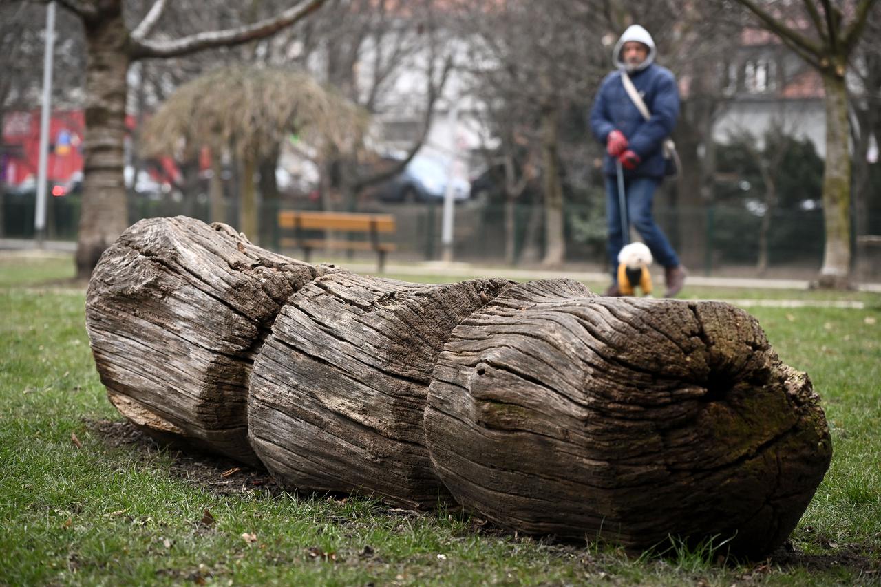 Zagreb: Spomenik kikirikiju u Parku Stara Trešnjevka