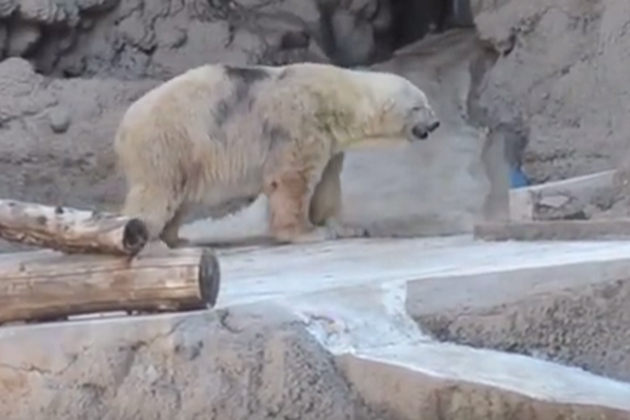 arturo